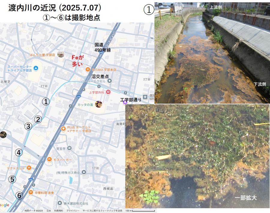 7月7日渡内川の現状について 5，6か所の写真を撮りました。
